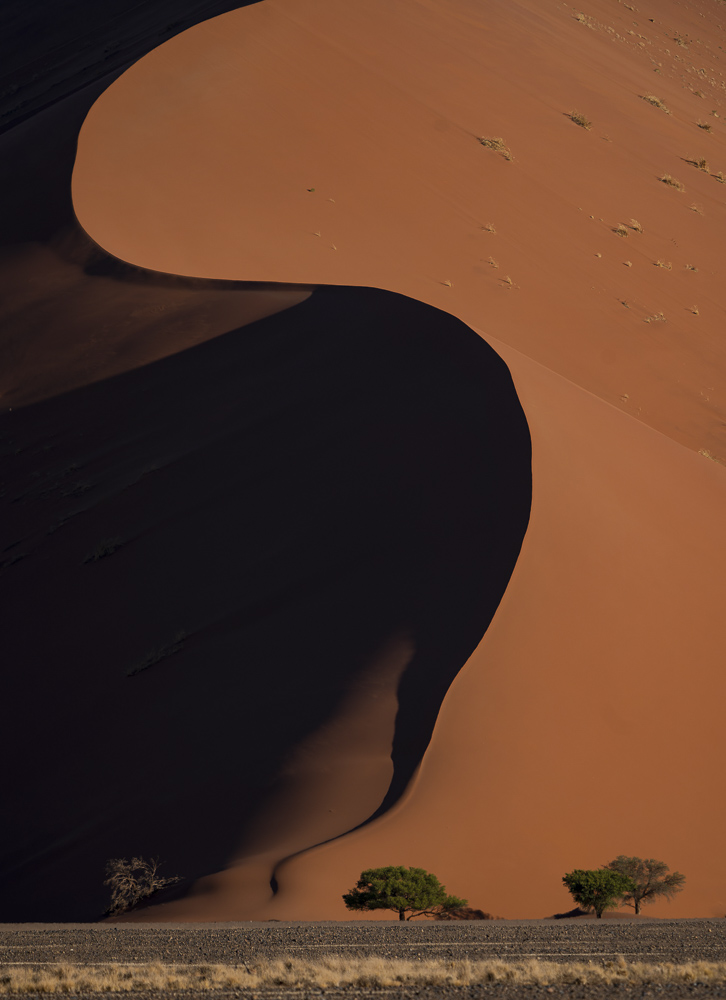 Platz 9 Kajetan Prinz